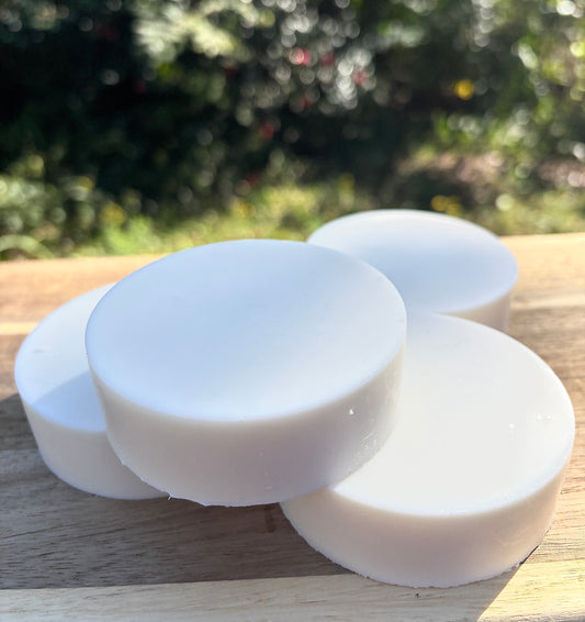 Solid Dish Soap Refill Puck